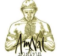 Am Nat